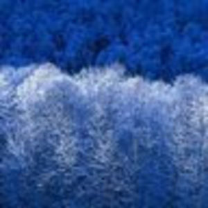 Meet your Posher, Kelsee